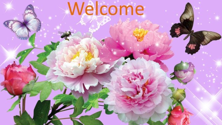 welcome