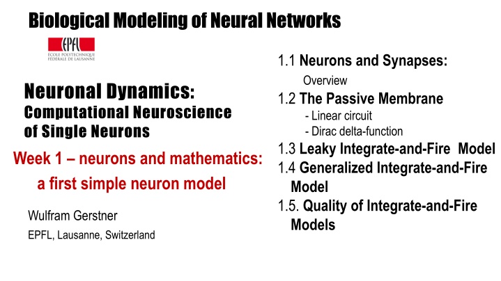 biological modeling of neural networks