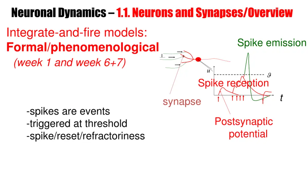 neuronal dynamics 1 1 neurons and synapses 5