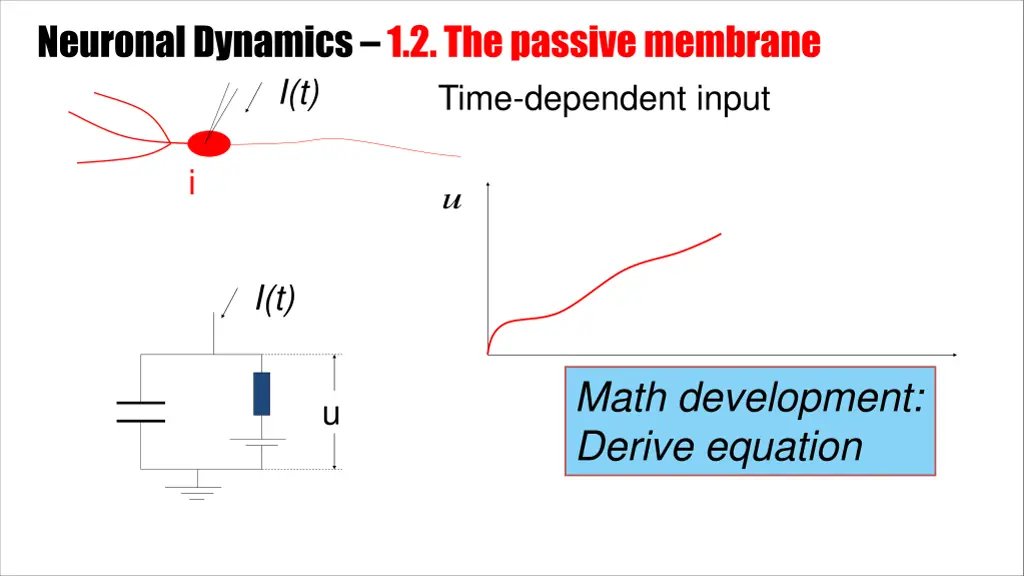 neuronal dynamics 1 2 the passive membrane 2