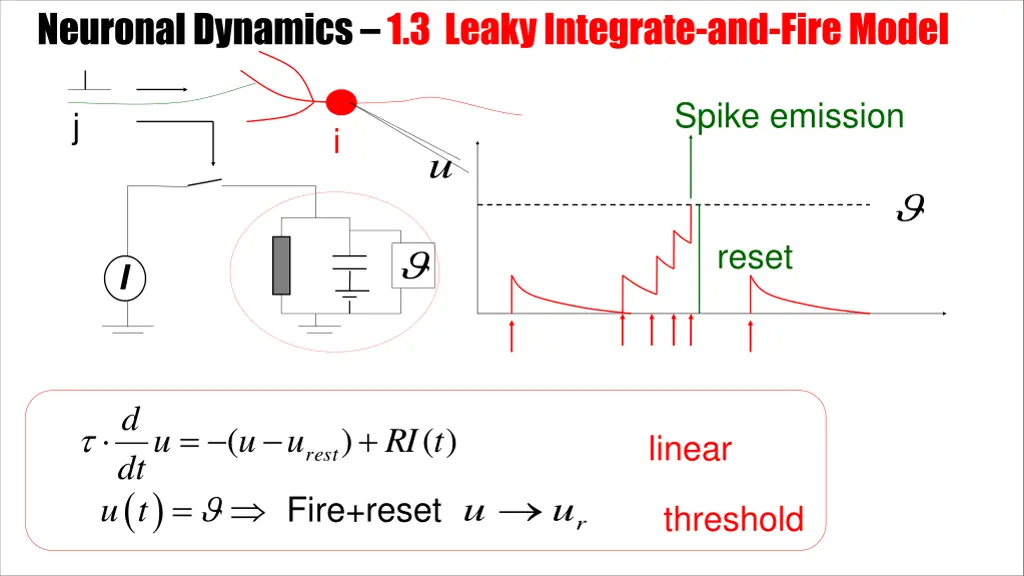 neuronal dynamics 1 3 leaky integrate and fire 1