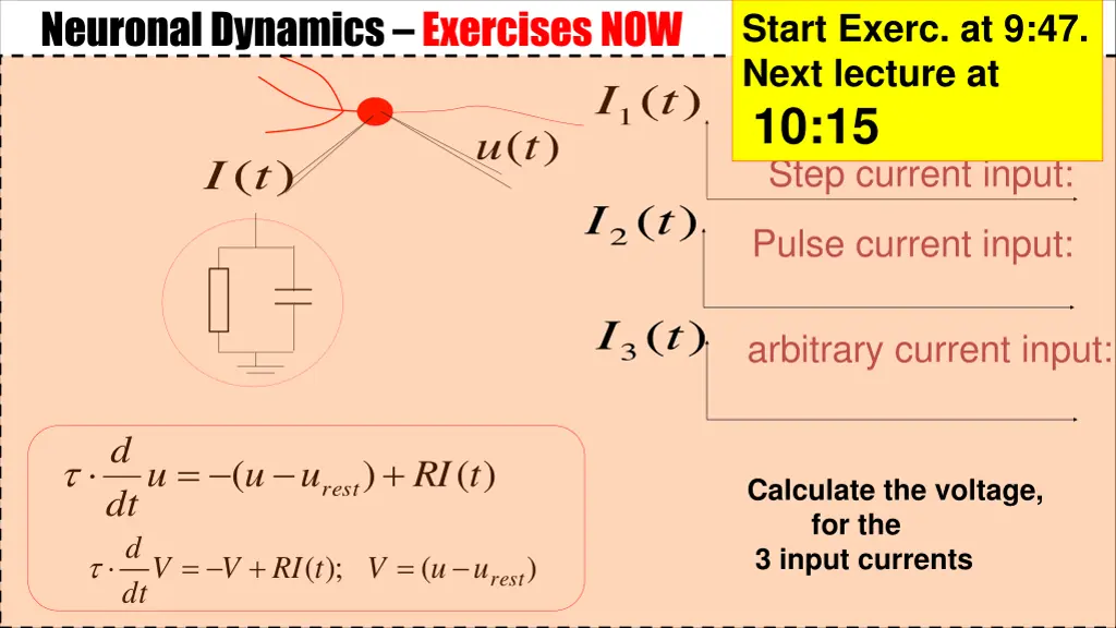 neuronal dynamics exercises now