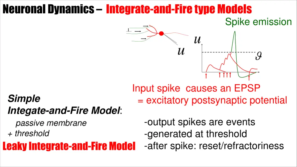 neuronal dynamics integrate and fire type models