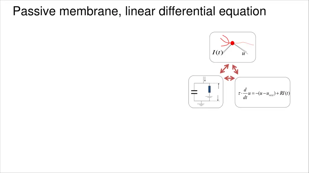 passive membrane linear differential equation