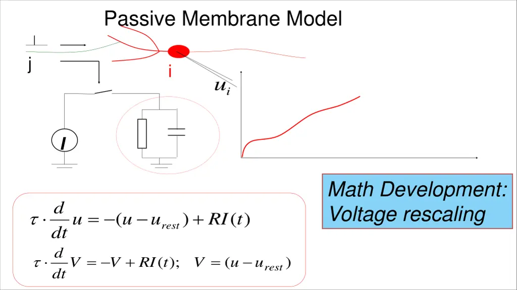 passive membrane model 1