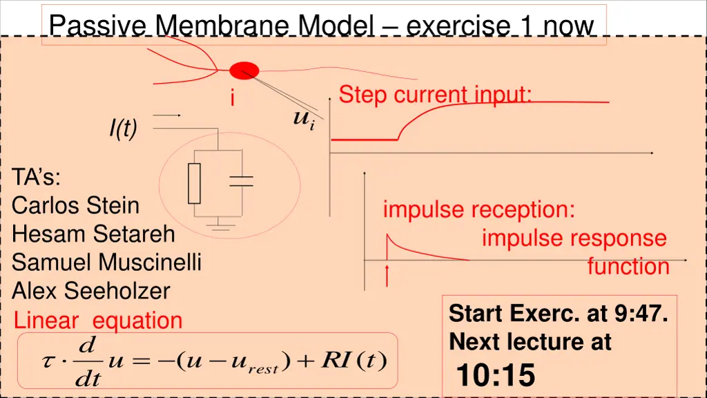 passive membrane model exercise 1 now