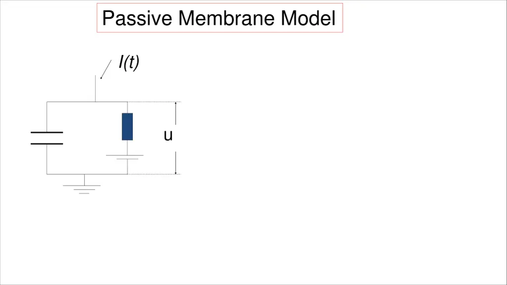 passive membrane model