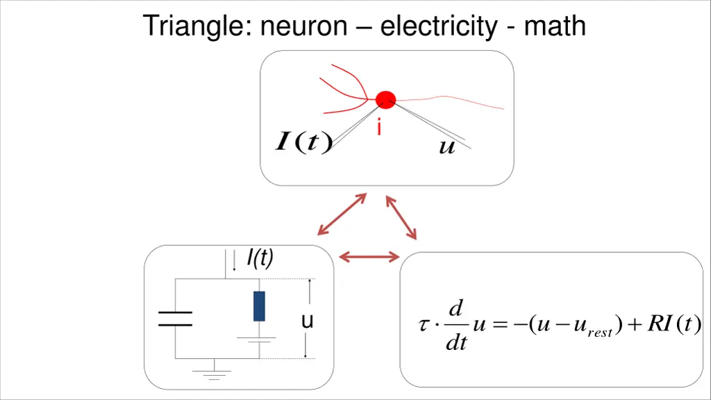 triangle neuron electricity math