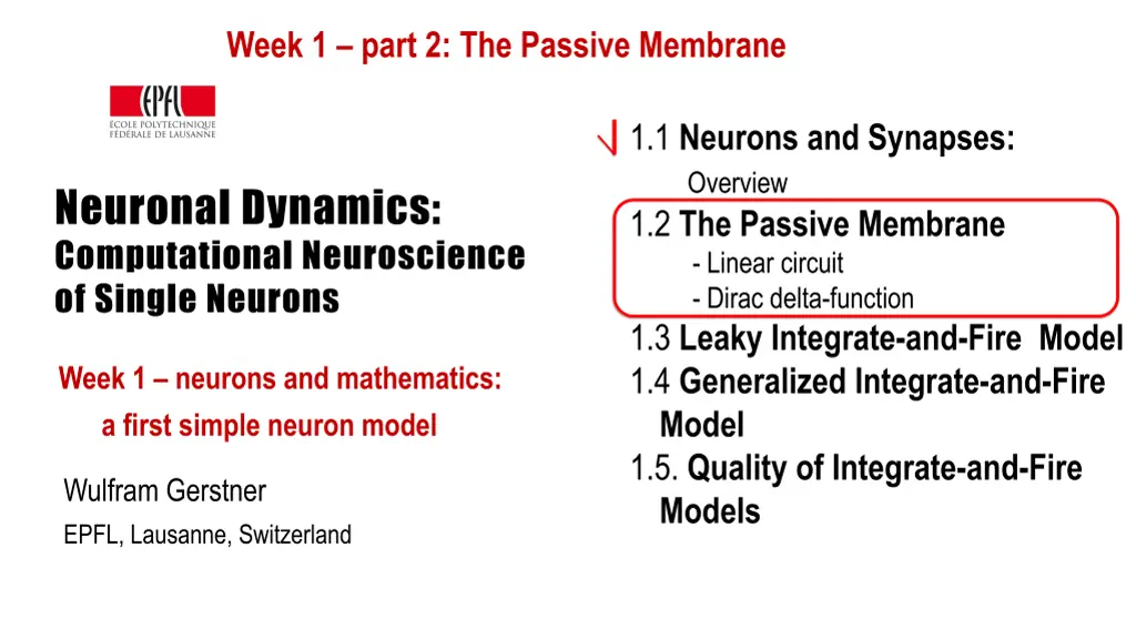 week 1 part 2 the passive membrane