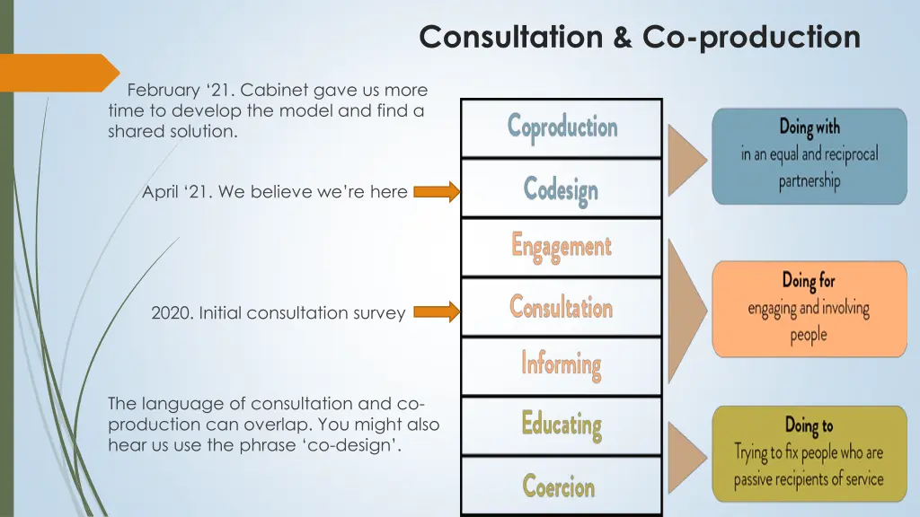 consultation co production