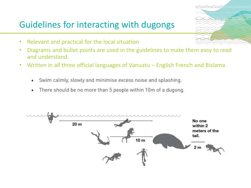 guidelines for interacting with dugongs 1