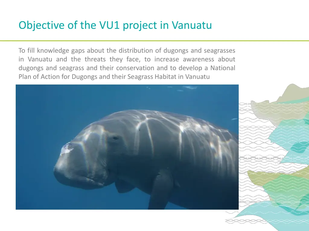 objective of the vu1 project in vanuatu