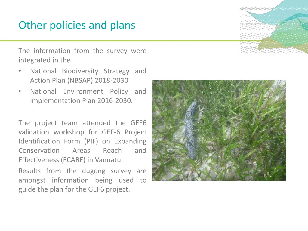 other policies and plans