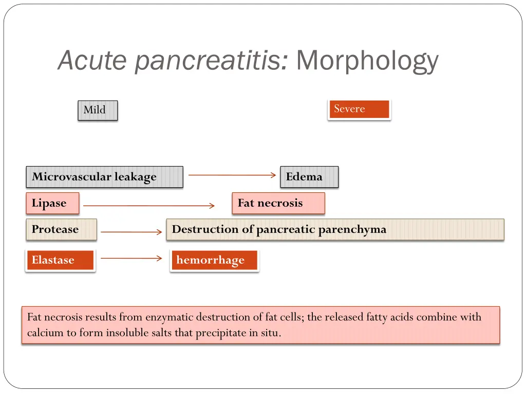 acute pancreatitis morphology