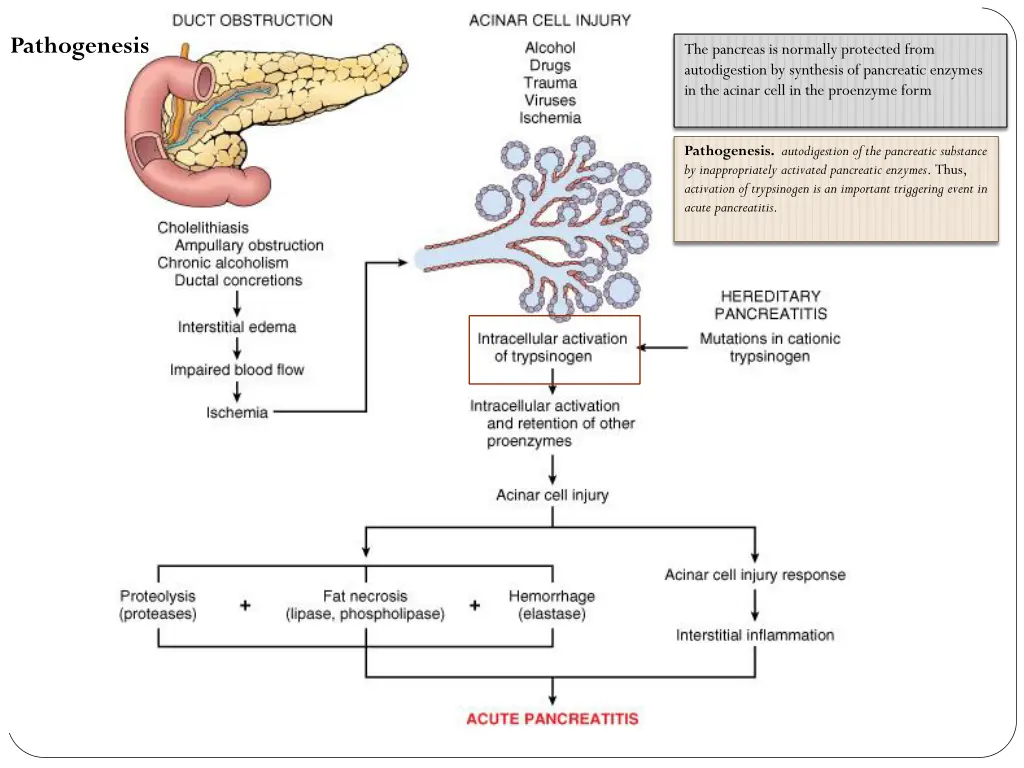 pathogenesis