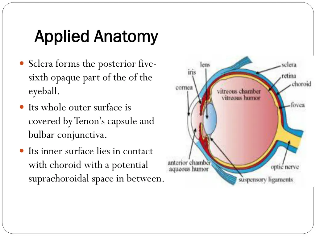 applied anatomy applied anatomy