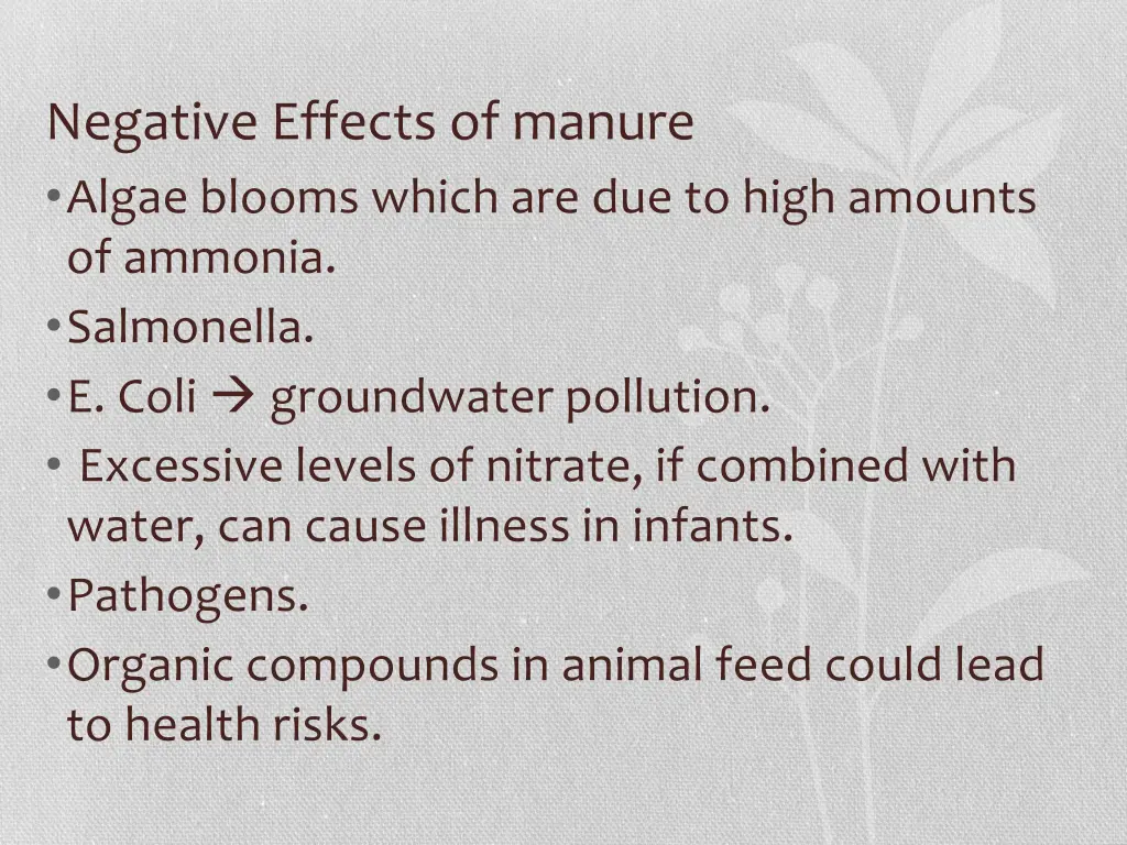 negative effects of manure algae blooms which