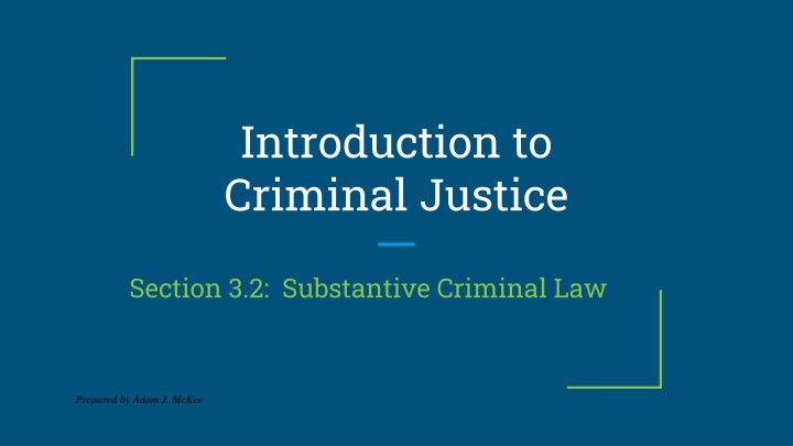 introduction to criminal justice