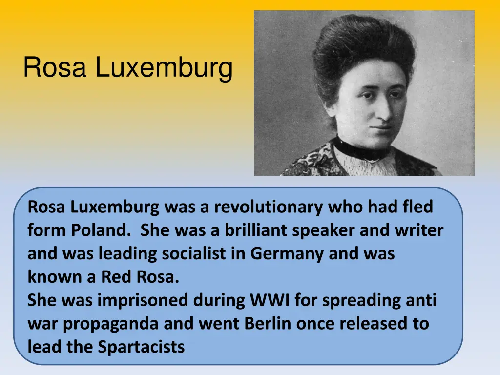 rosa luxemburg