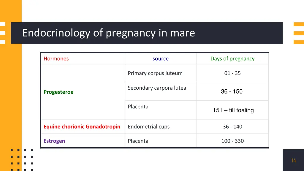 endocrinology of pregnancy in mare 1