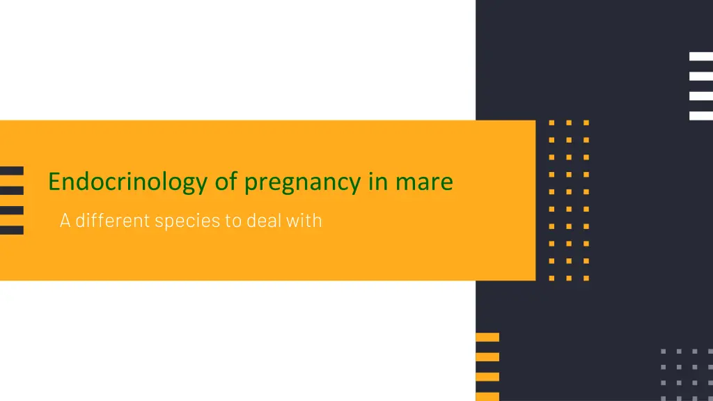 endocrinology of pregnancy in mare