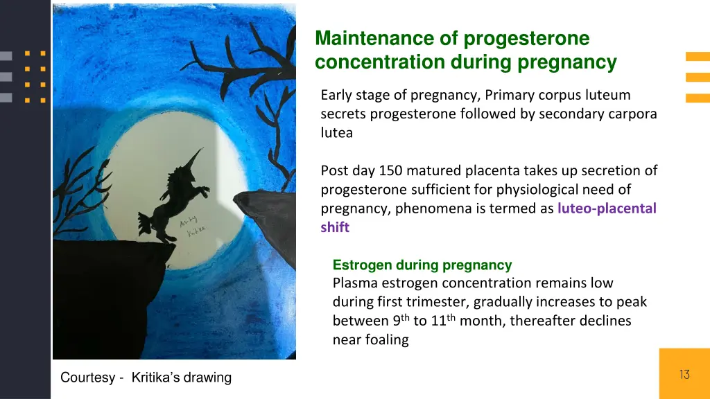 maintenance of progesterone concentration during