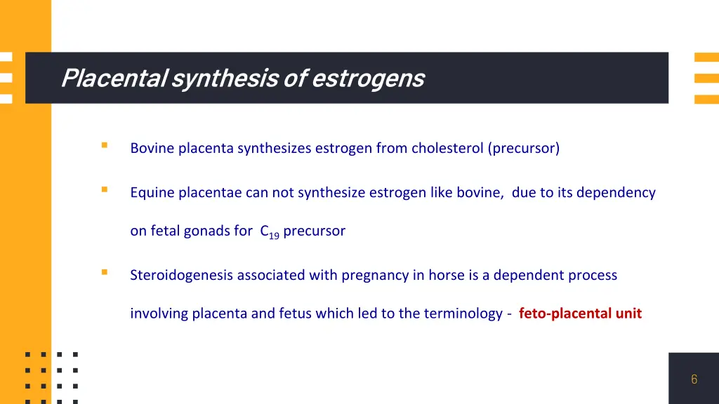 placental synthesis of estrogens