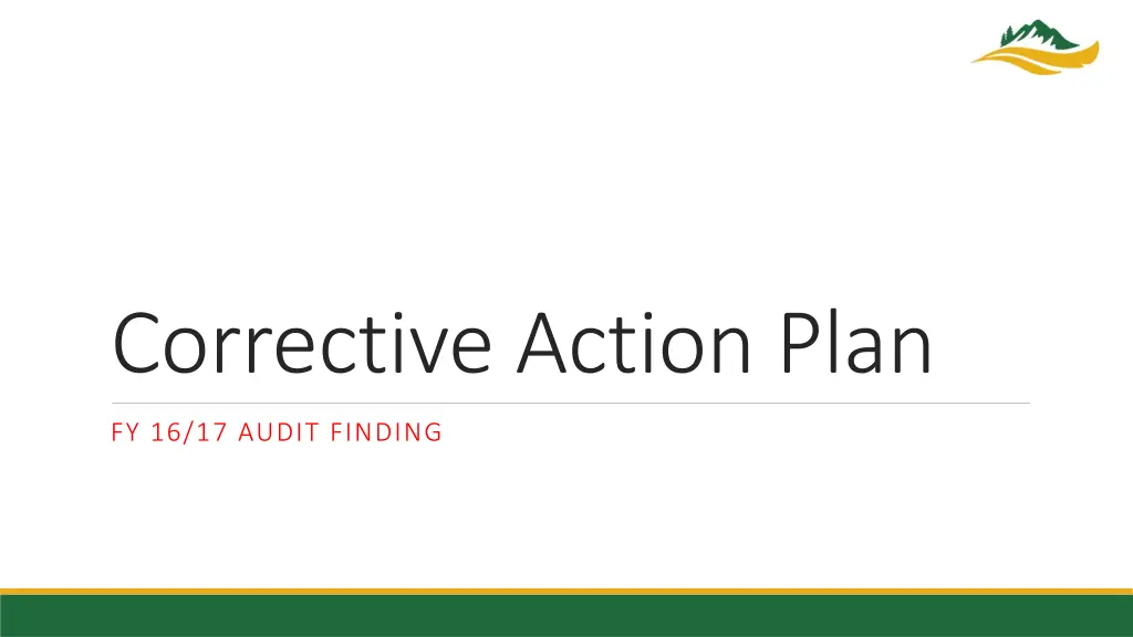 corrective action plan