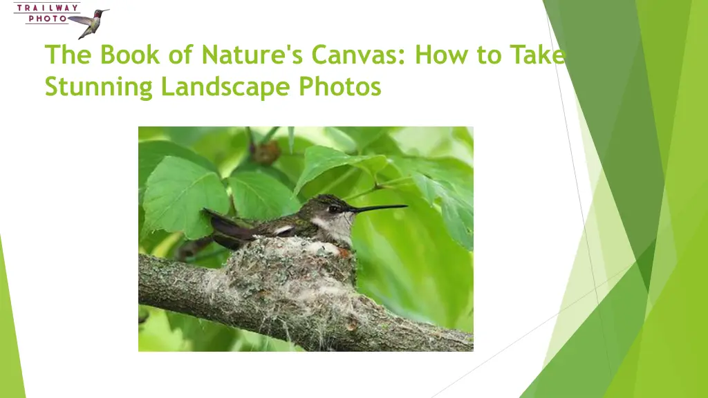 the book of nature s canvas how to take stunning