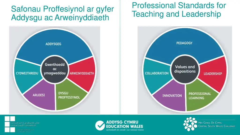 professional standards for teaching and leadership