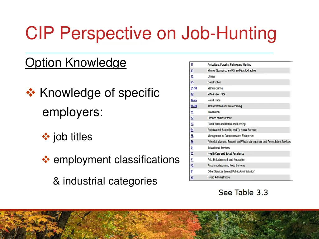 cip perspective on job hunting 1