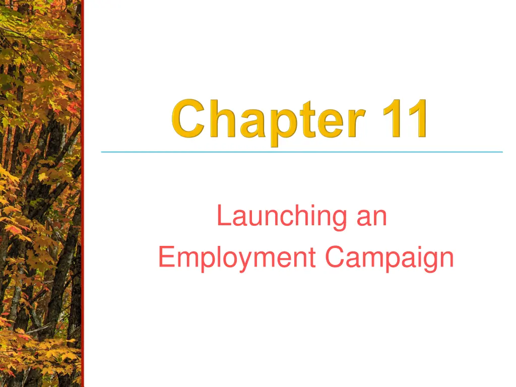 launching an employment campaign