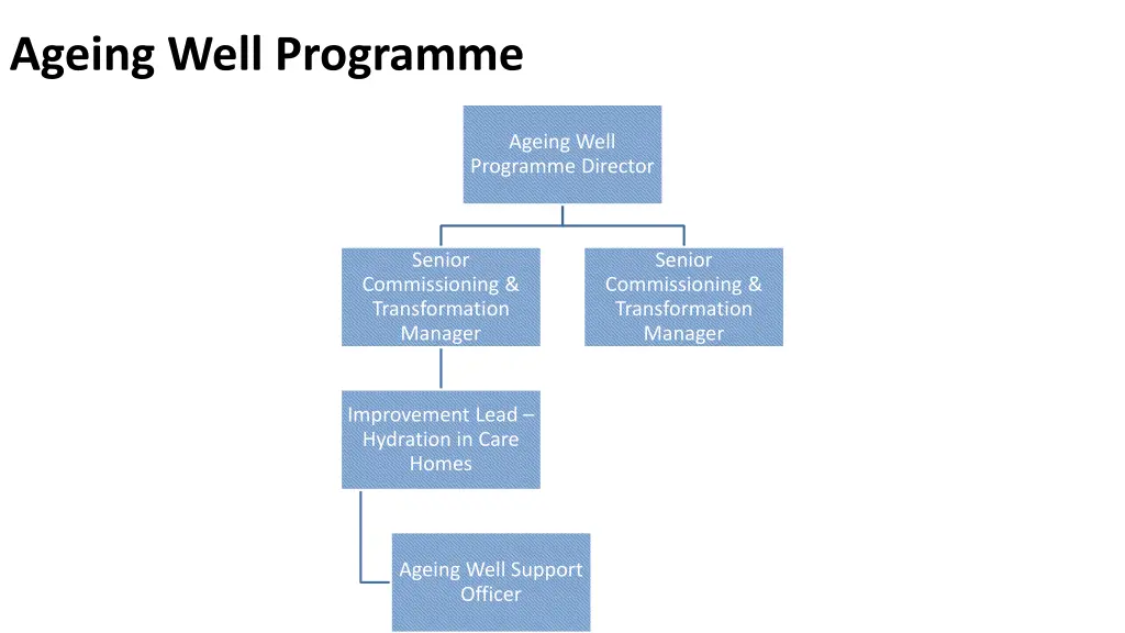 ageing well programme