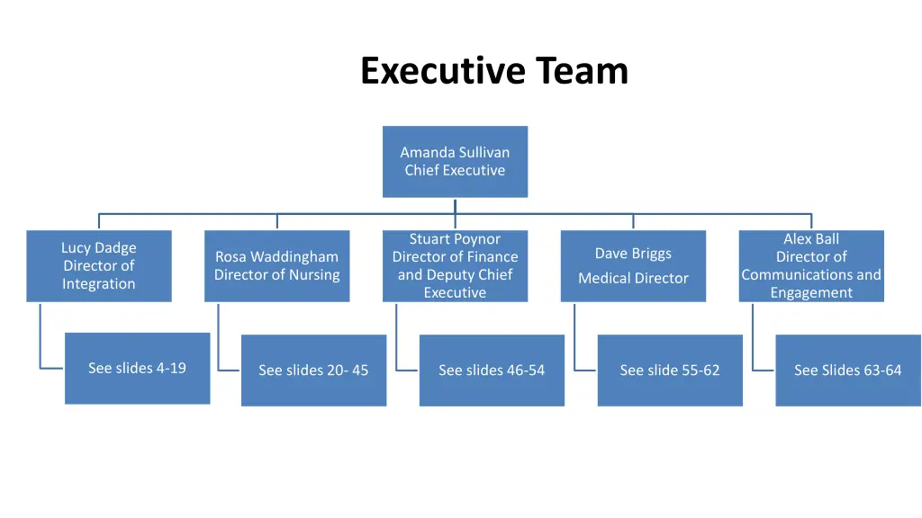 executive team