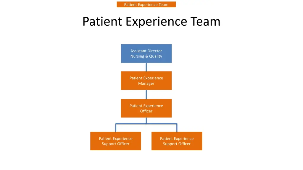 patient experience team