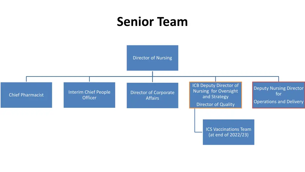 senior team 1