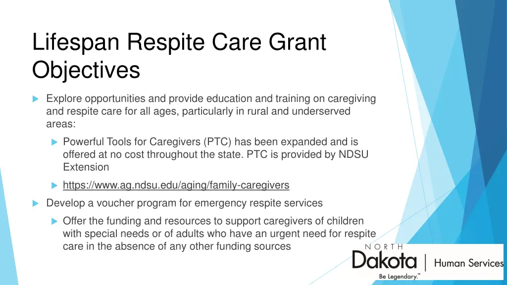 lifespan respite care grant objectives