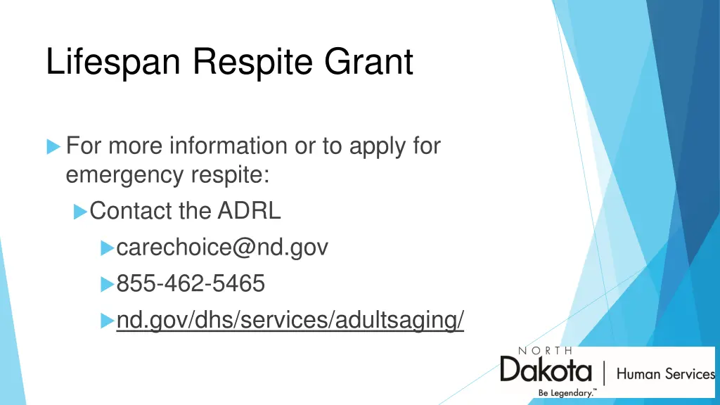 lifespan respite grant