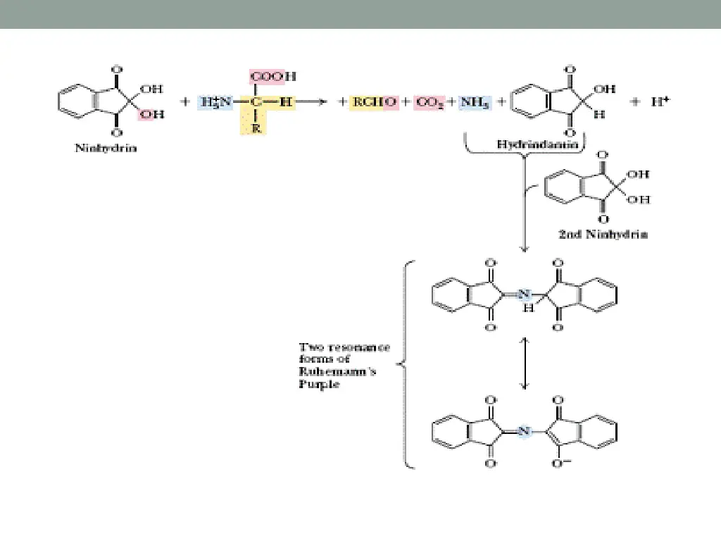 slide17