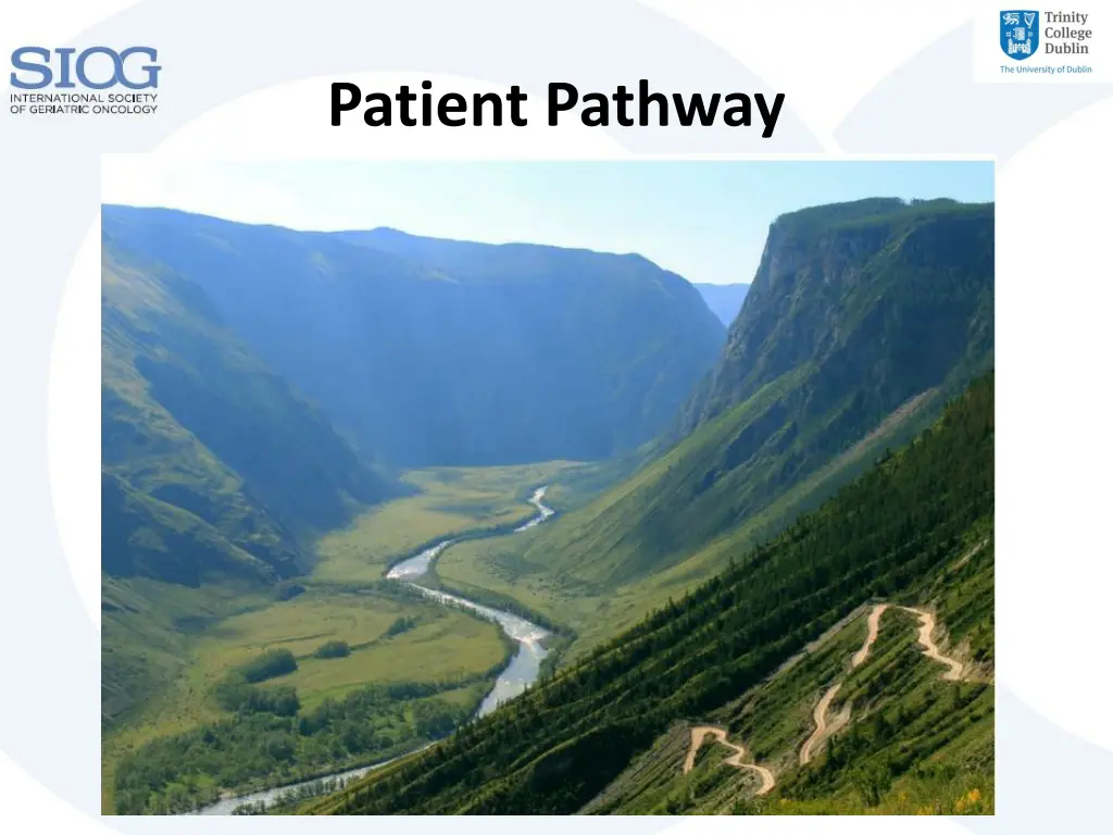 patient pathway