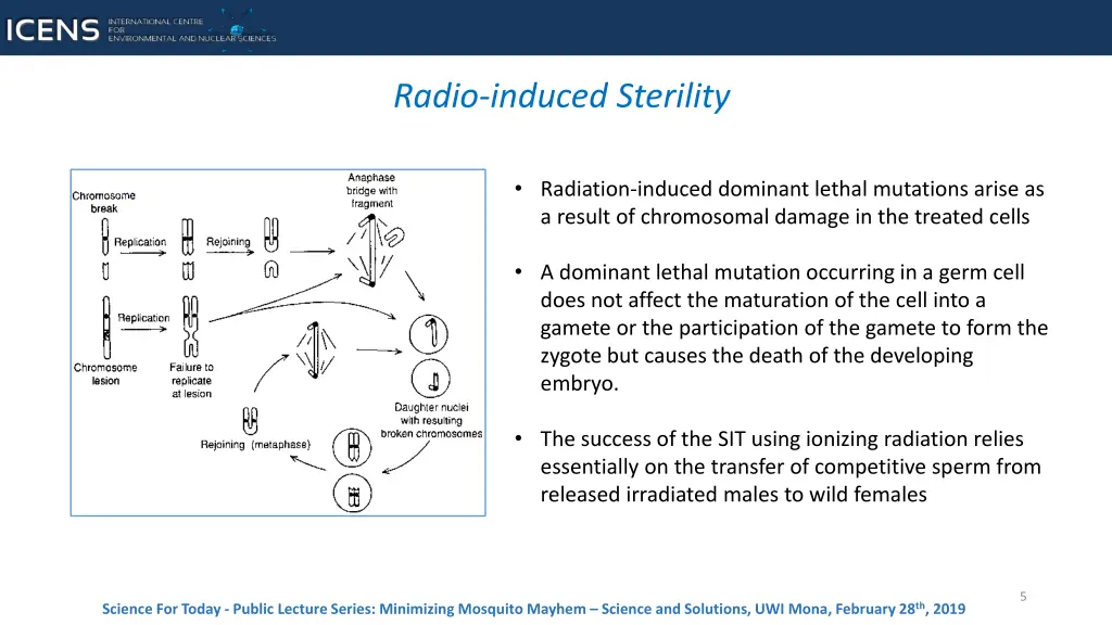 slide5