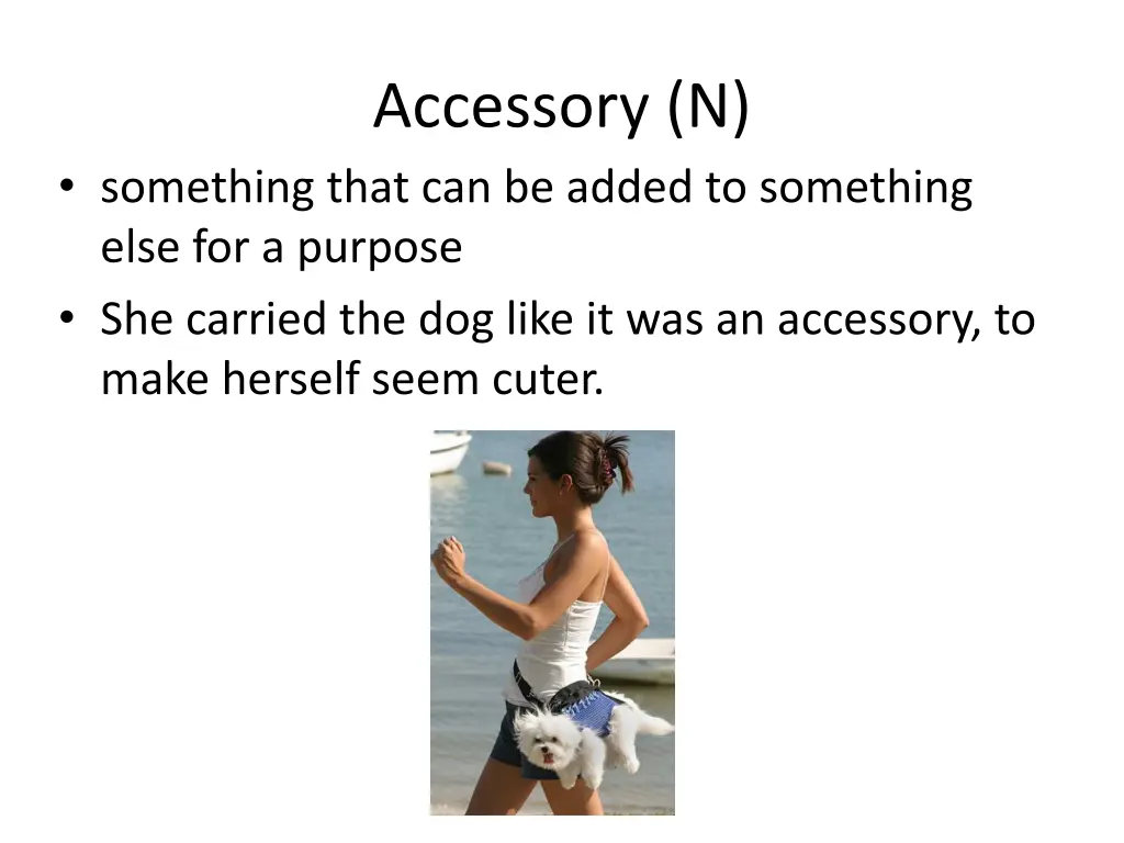 accessory n