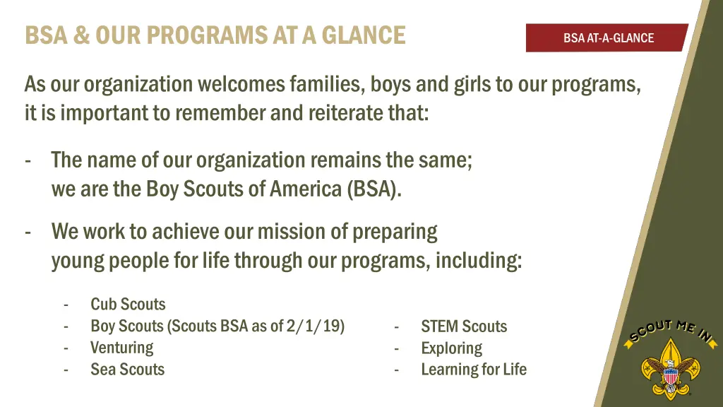 bsa our programs at a glance