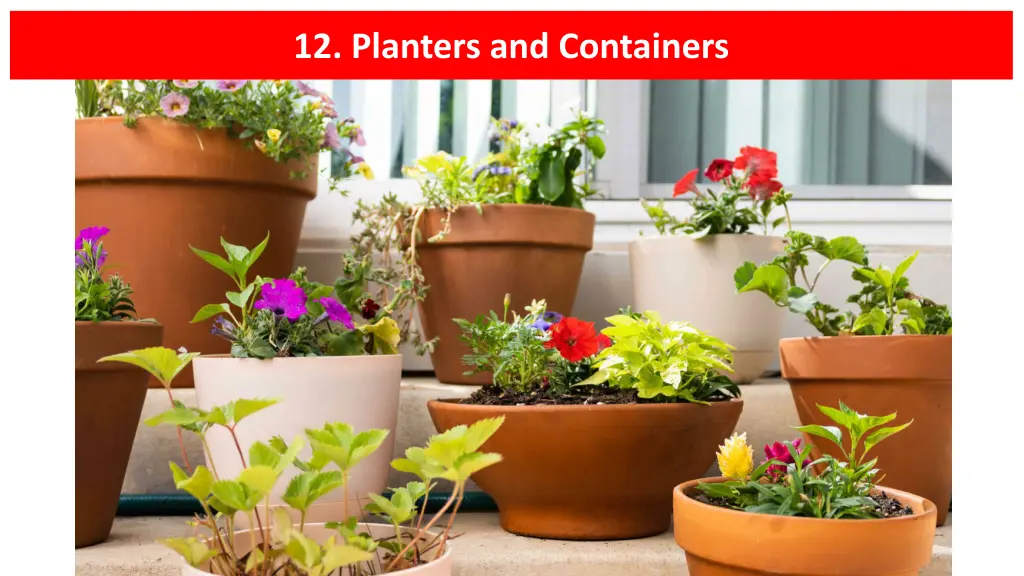 12 planters and containers