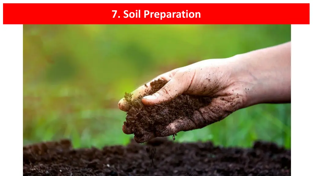 7 soil preparation