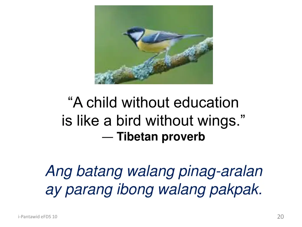 a child without education is like a bird without