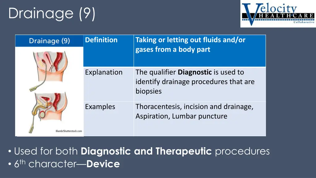 drainage 9