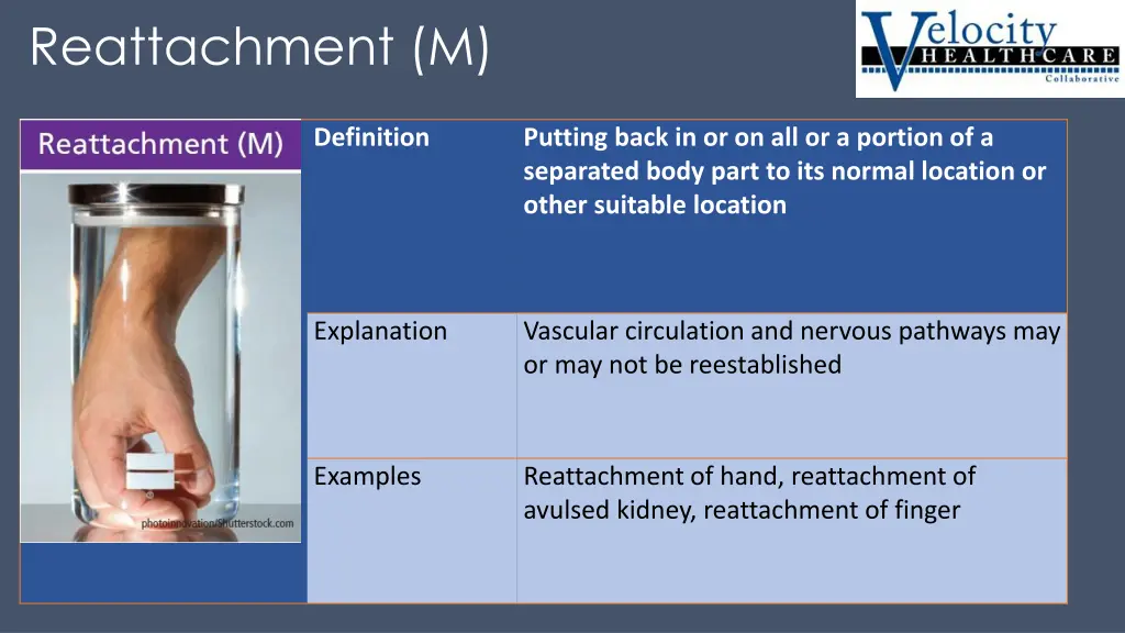 reattachment m