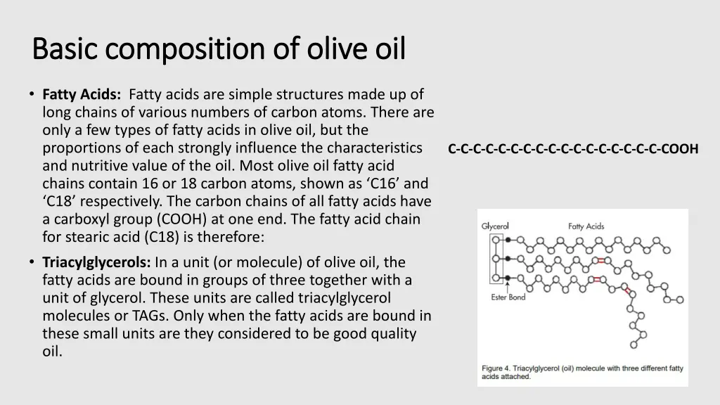 basic composition of olive oil basic composition