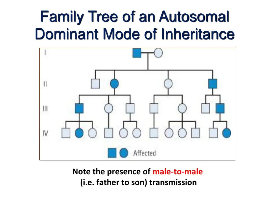 family tree of an autosomal dominant mode